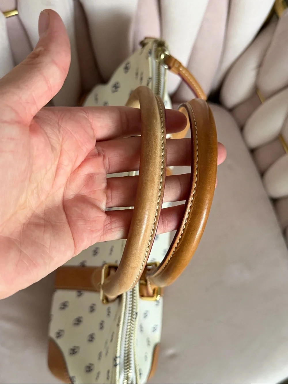 Dooney & Bourke clean interior✨
